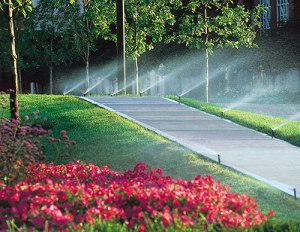 Area Sprinkler Companies Help West Palm Beach Residents Keep Their Yards Looking Good