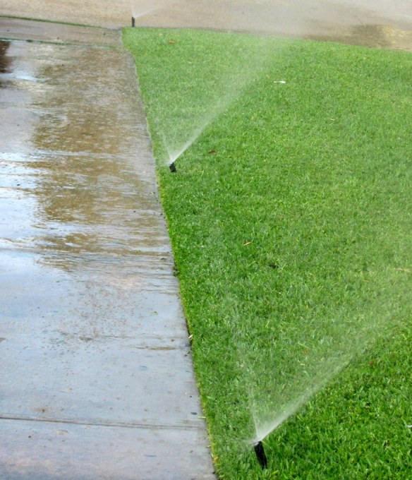 Leading Irrigation Companies Help Boca Raton Residents Conserve Money and Keep Lawns Green