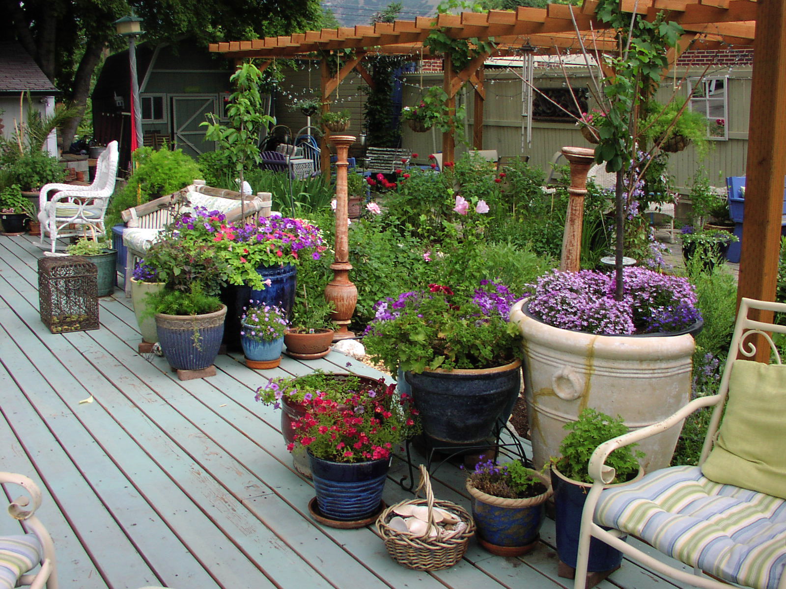 consider-drip-irrigation-for-potted-plants